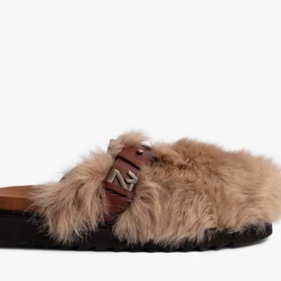 Zagid and voltaire slides - Picture 6 of 6